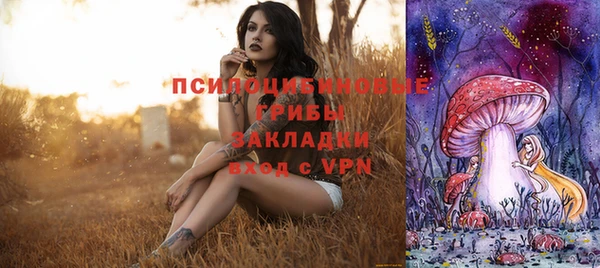 соль курить ск Надым