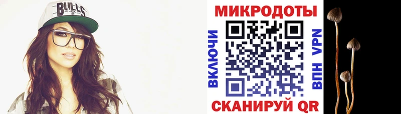 Псилоцибиновые грибы прущие грибы  наркота  Торжок 